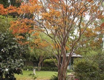 Strathburn Cottage Luxury Bed And Breakfast Bowral Eksteriør billede